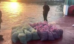 Kadıköy'de 1 ton kaçak midye avlayan kişiye 24 bin lira ceza kesildi