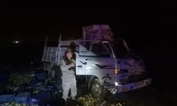 Mardin'de TIR ile kamyonet çarpıştı: 3 yaralı
