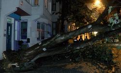 Üsküdar'da evin bahçe duvarına ağaç devrildi