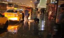 Yağıştan kaçan köpek, taksiye sığındı