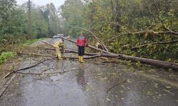 Zonguldak’ta sağanak ve fırtına; ağaçlar devrildi, 5 metre dalga oluştu