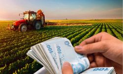 47 milyon TL'lik tarımsal ödeme hesaplarda