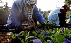 Bursa Osmangazi’de 400 bin çiçek toprakla buluşuyor