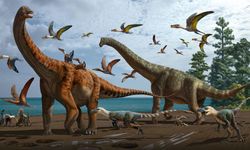 Dinozorlar Nasıl Yok Oldu: Toz Bulutu Teorisi