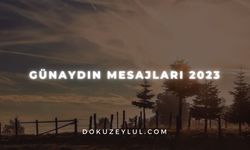 Günaydın Mesajları 2023 - En Güzel, Duygusal, Etkileyici, Sevgi Dolu, Romantik Flörte ve Sevgiliye Günaydın Mesajları