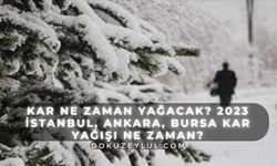 Kar ne zaman yağacak? 2023 İstanbul, Ankara, Bursa kar yağışı ne zaman?