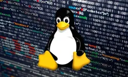 Yazılımcılar neden Linux kullanıyor? Linux nedir, ne için kullanılır ve nasıl kurulur?