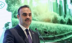 Türkiye'nin yeşil dönüşümü AB'ye önemli katkıda bulunacak