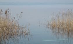 Sapanca Gölü sevindiren seviye artışı