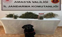 Amasya’da uyuşturucu operasyonu: 2 gözaltı