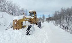 Beyaz esaret! Doğu Karadeniz'de kar, 367 köy yolunu kapattı!
