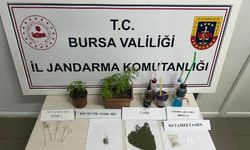Evinde kenevir yetiştirene gözaltı
