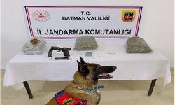 Kasım ayında 161 şüpheli yakalandı