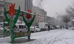 Muş’ta kar; 10 yerleşim yolu kapandı