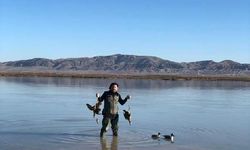 Tuz Gölü'nde canlı mühre ördekler ele geçirildi