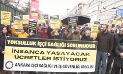 Ankara İşçi Sağlığı ve İş Güvenliği Meclisi Üyelerinden Eylem