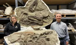 Dünyayı şoke eden keşif! 75 milyon yıllık T-Rex’in midesinden yavruları çıktı