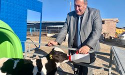 Gürer: 'Hayvancılıkta dışa bağımlılık et ve süt fiyatlarını da artırdı'