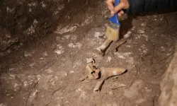 Mardin'deki kazılarda 1500 yıllık Anadolu leoparı kemikleri bulundu