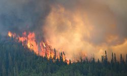 İtalya'nın Kuzey Batısında Orman Yangını
