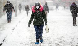 Kar Yağdı, Yollar Kapandı, Okullar Tatil Oldu