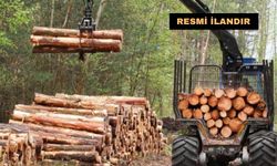 Bayındır Orman İşletme Müdürlüğü orman emvali istifleme hizmeti alacak