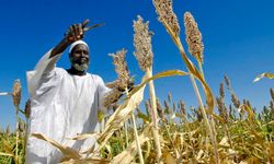 Resmi Gazete'de yayınlandı: Türk Sudan Uluslararası Tarım ve Hayvancılık Anonim Şirketi tasfiye edildi!