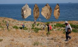 Karaburun kazıları İzmir'deki insan varlığını 250 bin yıl geriye çekiyor