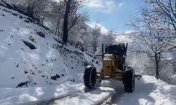 43 yerleşim yerinin yolu kardan kapandı