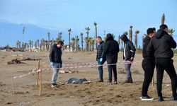 Antalya'da, sahilde 6 günde 8 ceset bulundu 
