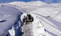 Bitlis’te 301 köy yolu ulaşıma açıldı