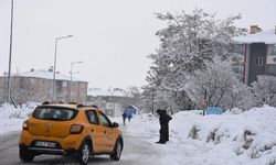 Bitlis'te 34 köy yolu kardan kapandı
