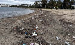 Bodrum'da sağanak sonrası sahiller çöple doldu