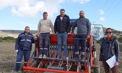 Çeşme Belediyesi, Karakılçık buğdayı üretimine devam ediyor