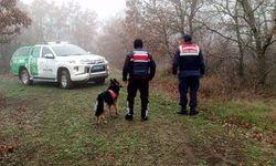 Edirne’de jandarma avcıları denetledi