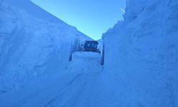 Hakkari'de 5 metre karla zorlu mücadele