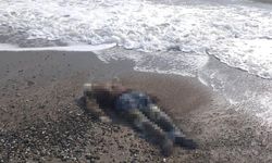Manavgat'ta farklı sahillerde 2 ceset bulundu