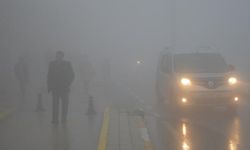 Mardin’de yoğun sis etkili oldu