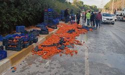 Serik'teki kazada domatesler yola saçıldı