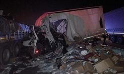 TIR'a çarpan kamyonetin sürücüsü yaralandı
