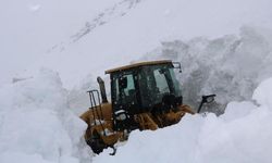 Yüksekova'da 7 metre karla mücadele
