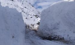 Yüksekova’da karla mücadele çalışmaları sürüyor
