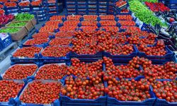 Başkentte en çok domates tüketildi