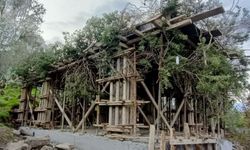 Bodrum'da kaçak inşaatı ağaç dallarıyla gizlemeye çalıştılar