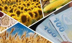 Çiftçilere müjde: Tarımsal destek ödemeleri hesaplara aktarılıyor
