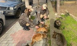 Keşan'da polis ekipleri sokak hayvanlarını besledi