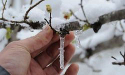 Meteoroloji'den don ve buzlanma uyarısı