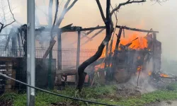 Arnavutköy'de ahırdaki sobadan yangın çıktı: 8 koyun telef oldu