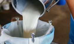 Çiğ süt üretimi 2023 yılında azaldı!