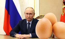Rusya'da 'yumurta' krizi! Putin halktan özür diledi